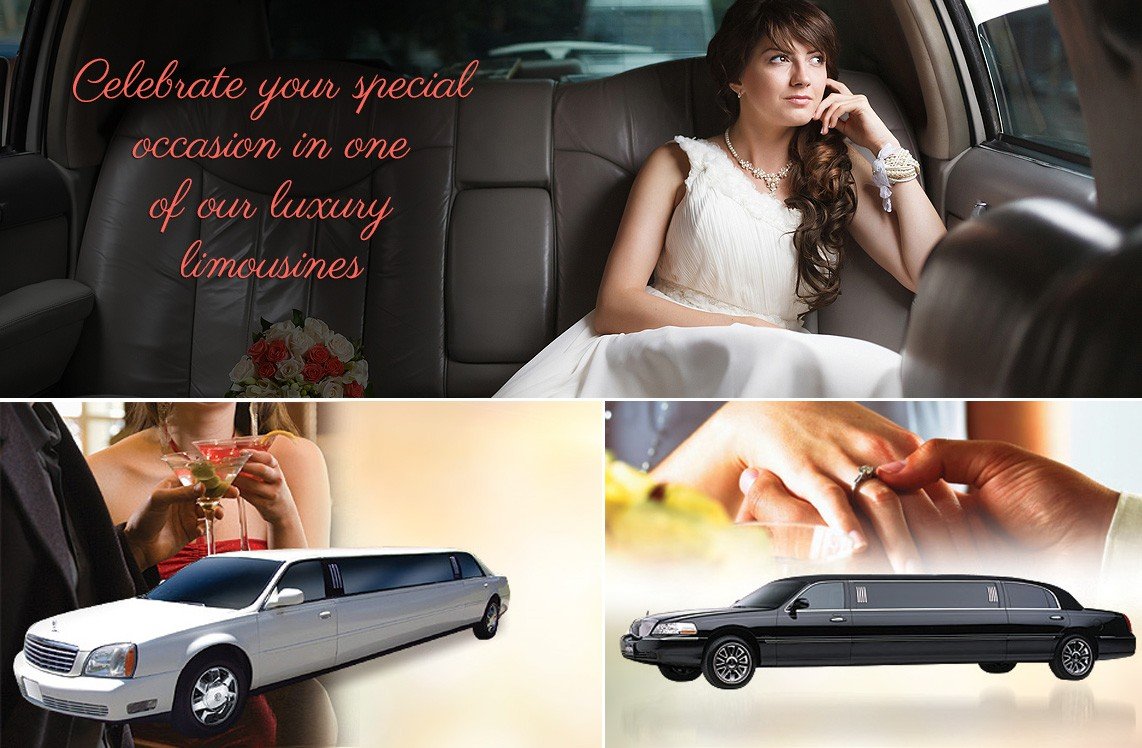 Special-Occasions-bot