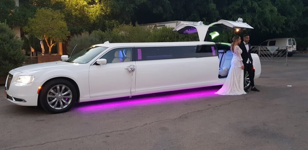 2017 Chrysler 300 Wingdoor