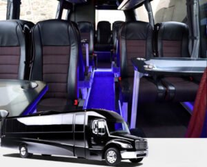 Mini Bus Q85r7sukl6qi97du9rnml5znmeev7kmzqaanibl1f4 Cleanup Cleanup